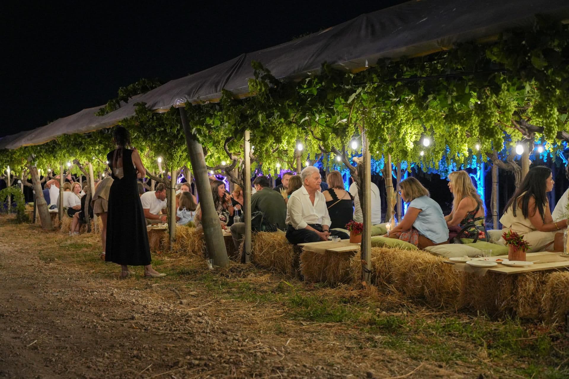 Cena nel vigneto — Dimora Bellarosa